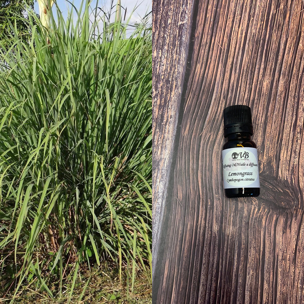 Lemongrass Oil