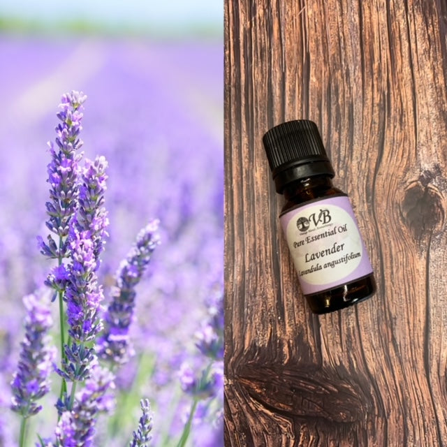 Lavender Oil